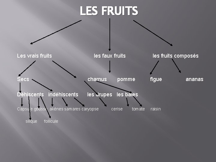 LES FRUITS Les vrais fruits les faux fruits les fruits composés Secs charnus Déhiscents