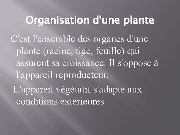 Organisation d'une plante C'est l'ensemble des organes d'une plante (racine, tige, feuille) qui assurent