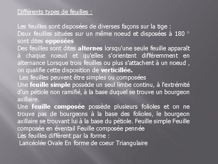 Différents types de feuilles : Les feuilles sont disposées de diverses façons sur la