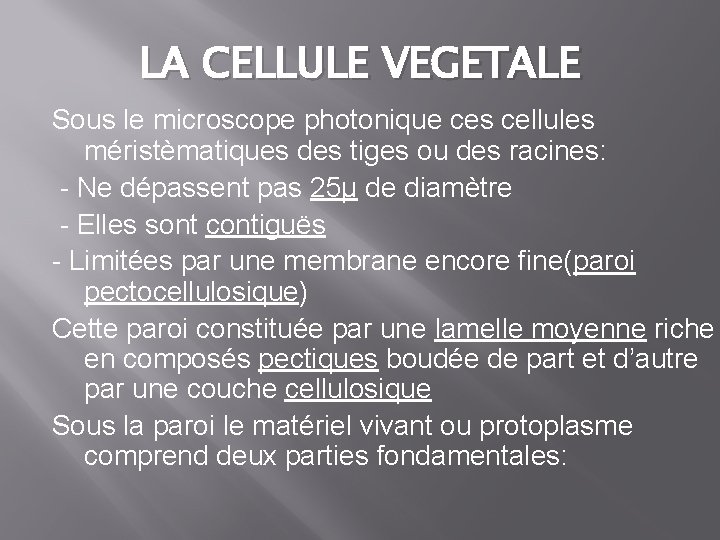 LA CELLULE VEGETALE Sous le microscope photonique ces cellules méristèmatiques des tiges ou des