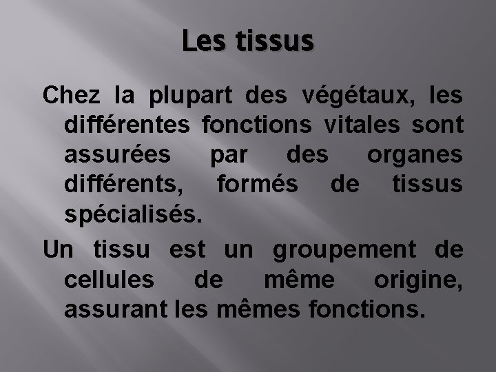 Les tissus Chez la plupart des végétaux, les différentes fonctions vitales sont assurées par