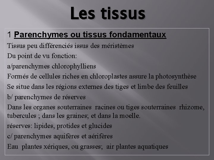 Les tissus 1 Parenchymes ou tissus fondamentaux Tissus peu différenciés issus des méristèmes Du