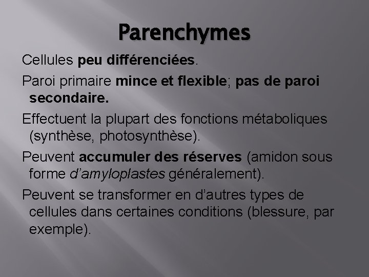 Parenchymes Cellules peu différenciées. Paroi primaire mince et flexible; pas de paroi secondaire. Effectuent