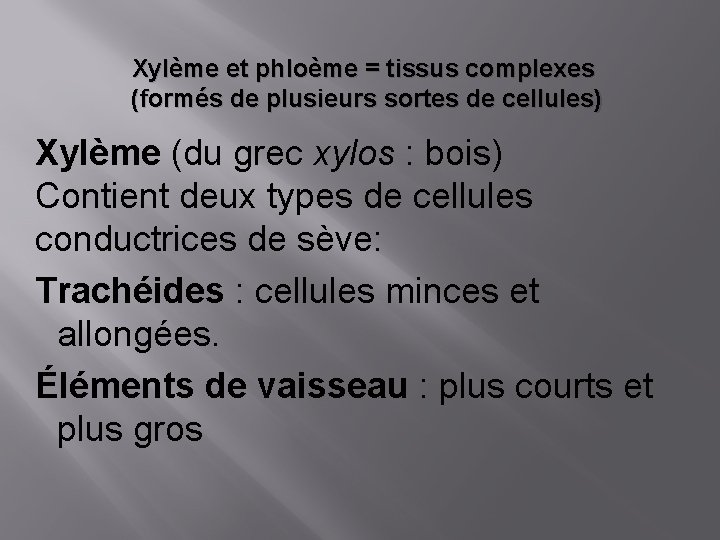 Xylème et phloème = tissus complexes (formés de plusieurs sortes de cellules) Xylème (du
