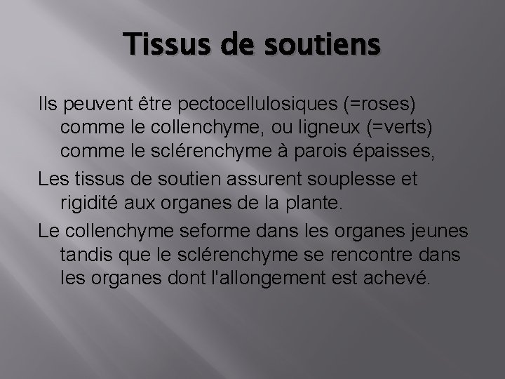 Tissus de soutiens Ils peuvent être pectocellulosiques (=roses) comme le collenchyme, ou ligneux (=verts)