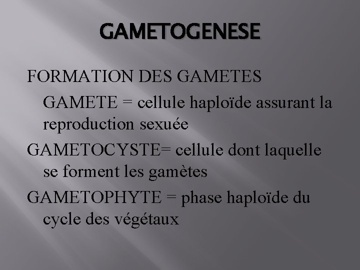GAMETOGENESE FORMATION DES GAMETE = cellule haploïde assurant la reproduction sexuée GAMETOCYSTE= cellule dont