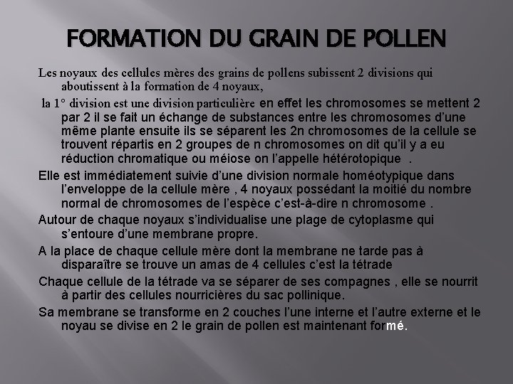 FORMATION DU GRAIN DE POLLEN Les noyaux des cellules mères des grains de pollens