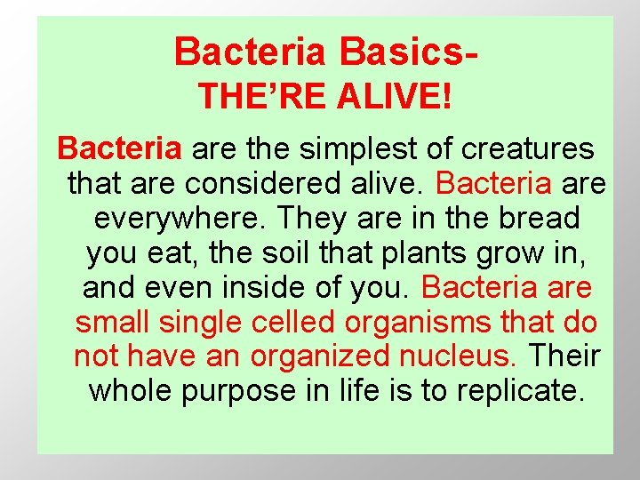 Bacteria Basics. THE’RE ALIVE! Bacteria are the simplest of creatures that are considered alive.