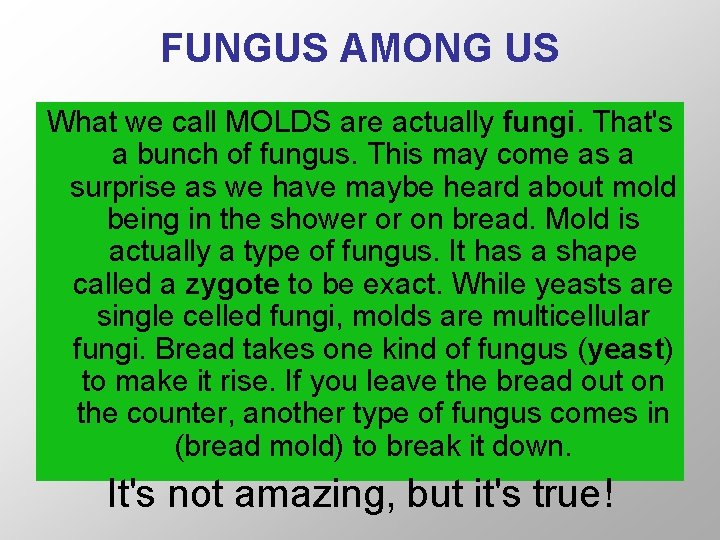 FUNGUS AMONG US What we call MOLDS are actually fungi. That's a bunch of