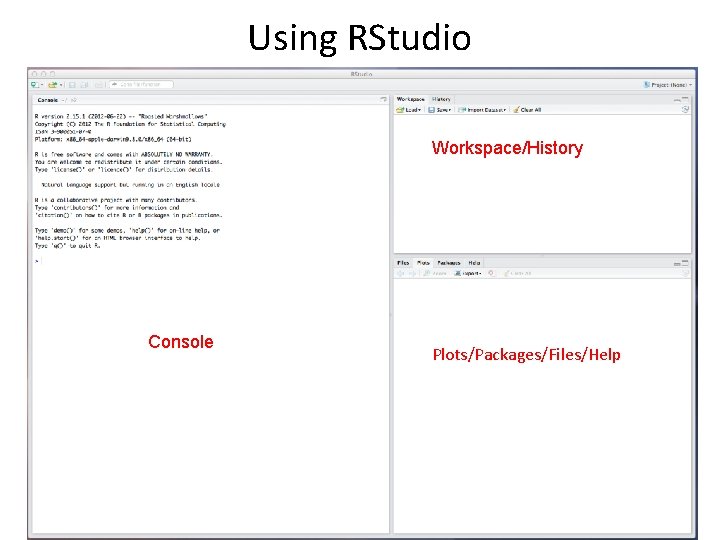 Using RStudio Workspace/History Console Plots/Packages/Files/Help 