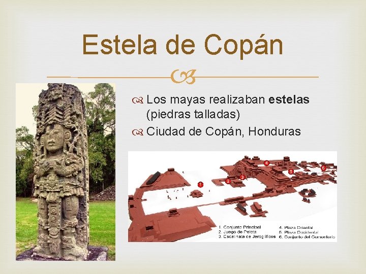 Estela de Copán Los mayas realizaban estelas (piedras talladas) Ciudad de Copán, Honduras 