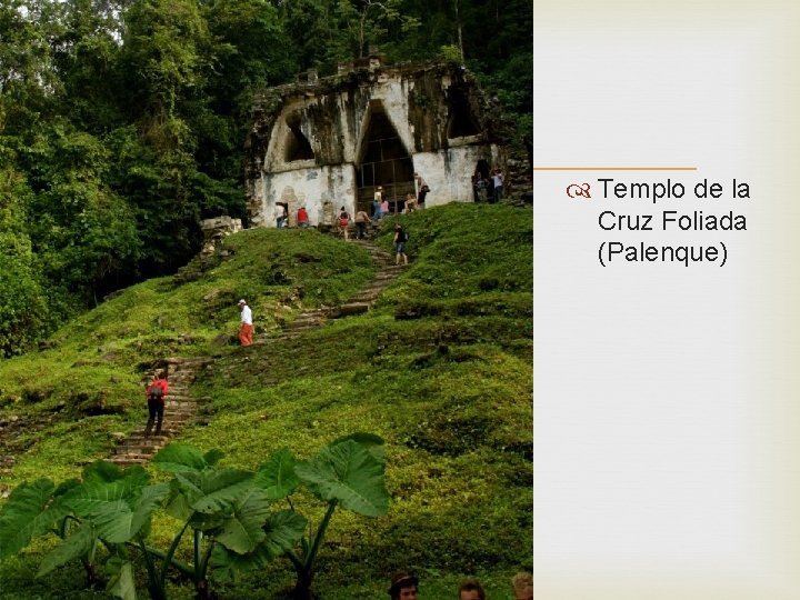  Templo de la Cruz Foliada (Palenque) 