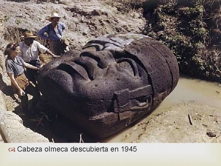  Cabeza olmeca descubierta en 1945 