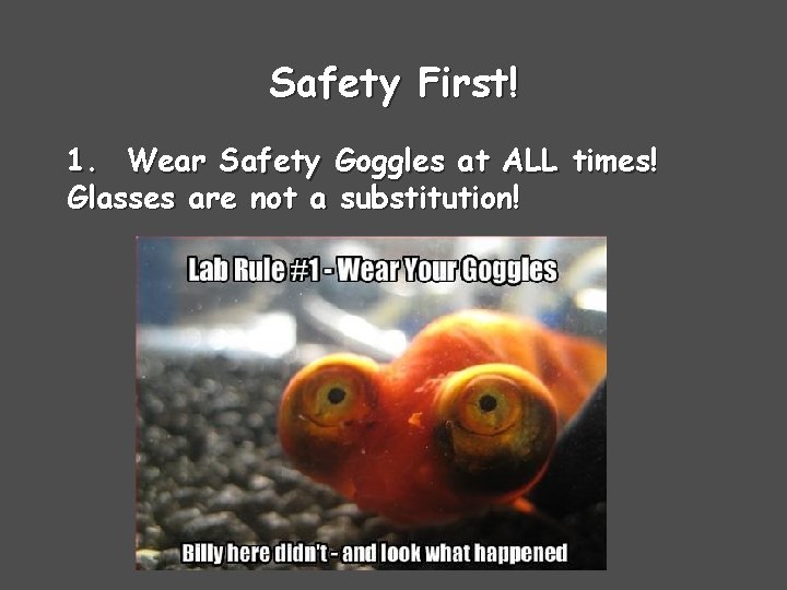 Safety First! 1. Wear Safety Goggles at ALL times! Glasses are not a substitution!