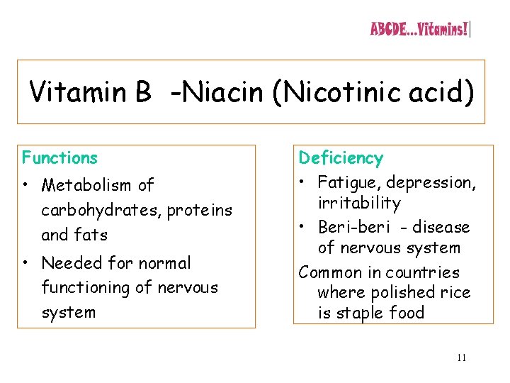 Vitamin B -Niacin (Nicotinic acid) Functions • Metabolism of carbohydrates, proteins and fats •