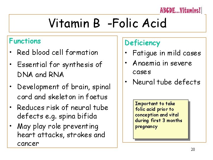 Vitamin B -Folic Acid Functions • Red blood cell formation • Essential for synthesis