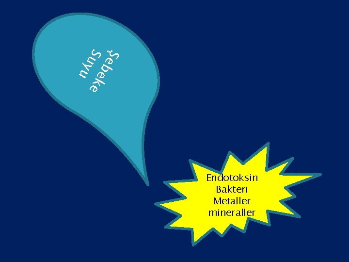Ş e b Su eke y u Endotoksin Bakteri Metaller mineraller 