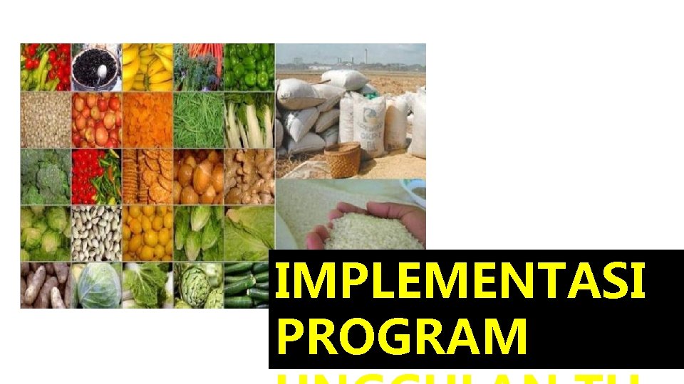 KEBUN TEH KEMUNING IMPLEMENTASI PROGRAM 