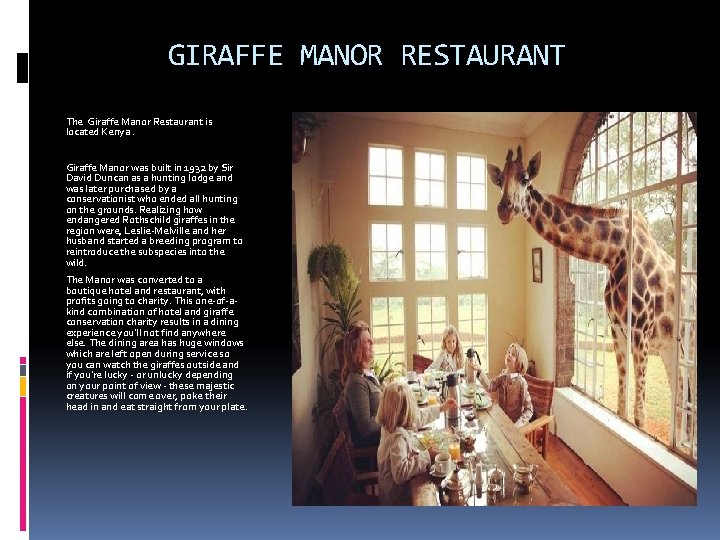 GIRAFFE MANOR RESTAURANT The Giraffe Manor Restaurant is located Kenya. Giraffe Manor was built