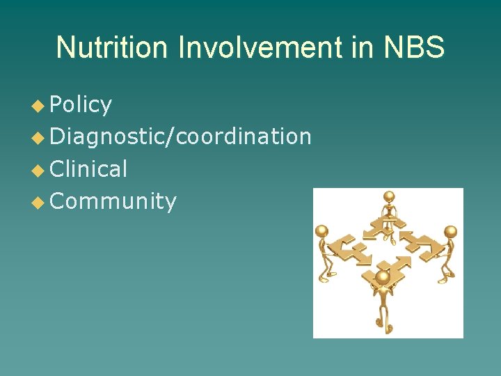 Nutrition Involvement in NBS u Policy u Diagnostic/coordination u Clinical u Community 