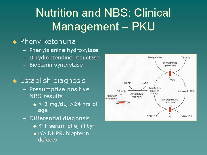 Nutrition and NBS: Clinical Management – PKU u Phenylketonuria – Phenylalanine hydroxylase – Dihydropteridine