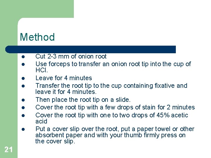 Method l l l l 21 Cut 2 -3 mm of onion root Use