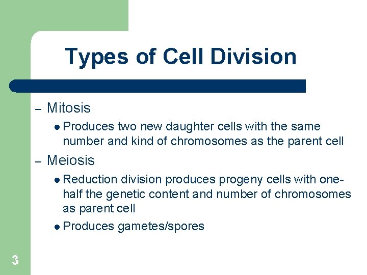 Types of Cell Division – Mitosis l Produces two new daughter cells with the