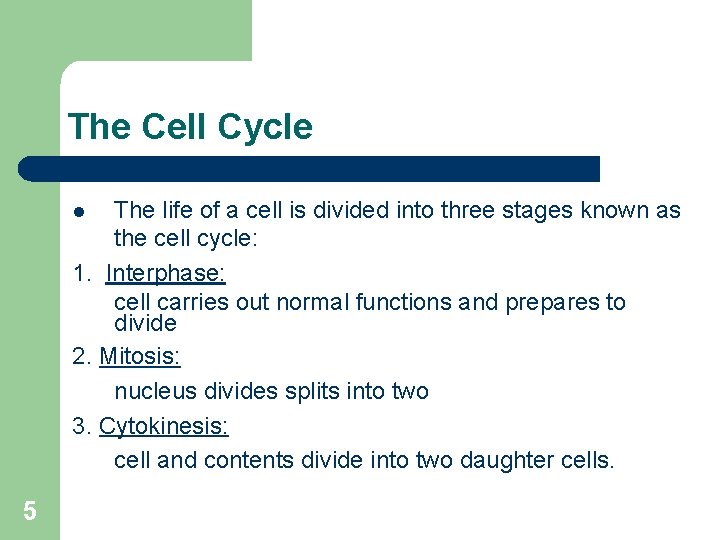 The Cell Cycle The life of a cell is divided into three stages known