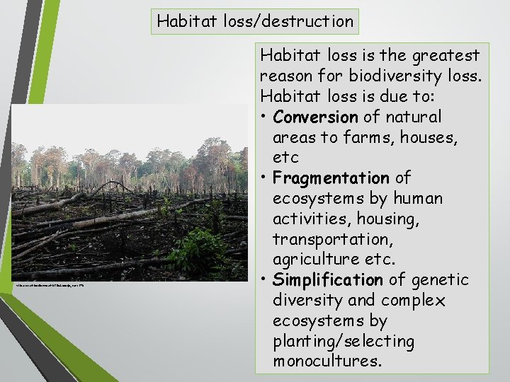 What is Biodiversity Biodiversity is the variety or