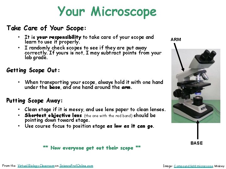 Your Microscope Take Care of Your Scope: • • It is your responsibility to