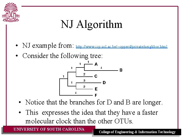 NJ Algorithm • NJ example from: http: //www. icp. ucl. ac. be/~opperd/private/neighbor. html •
