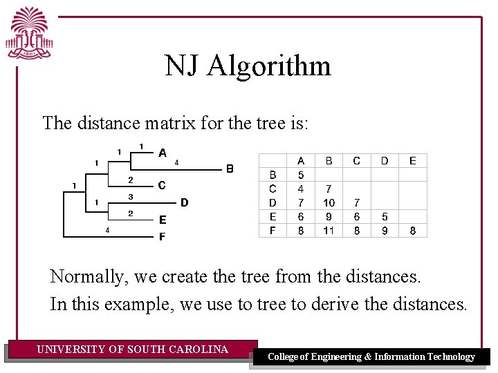 NJ Algorithm The distance matrix for the tree is: Normally, we create the tree