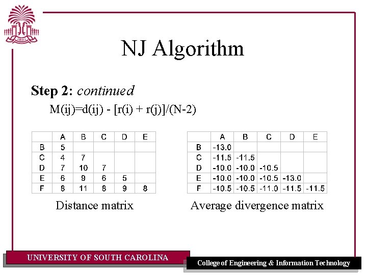 NJ Algorithm Step 2: continued M(ij)=d(ij) - [r(i) + r(j)]/(N-2) Distance matrix UNIVERSITY OF