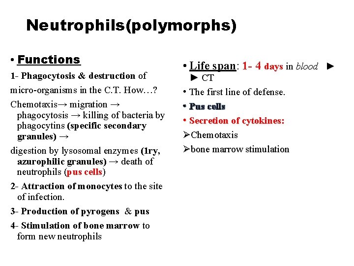 Neutrophils(polymorphs) • Functions 1 - Phagocytosis & destruction of micro-organisms in the C. T. Neutrophils(polymorphs) • Functions 1 - Phagocytosis & destruction of micro-organisms in the C. T.
