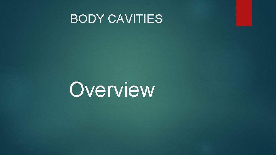 BODY CAVITIES Overview 