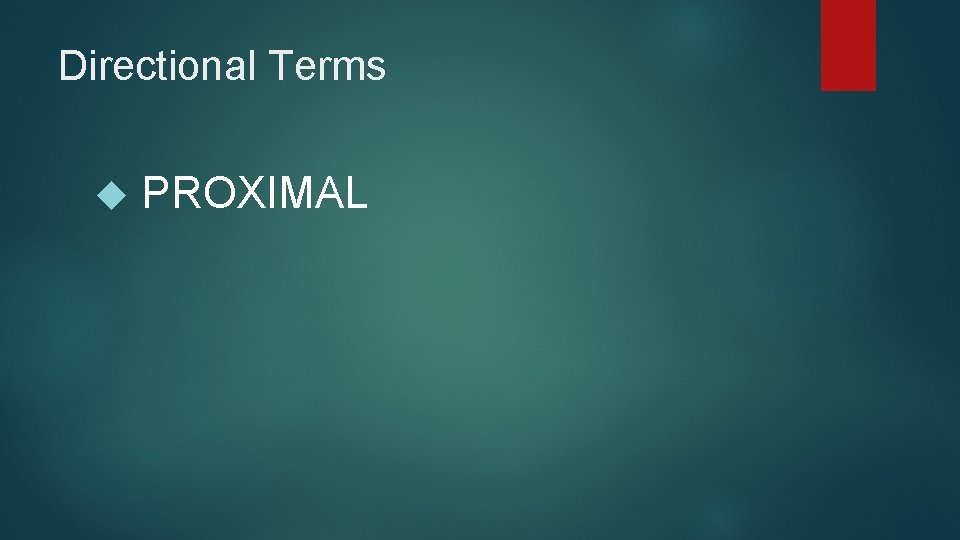 Directional Terms PROXIMAL 