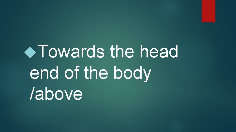  Towards the head end of the body /above 
