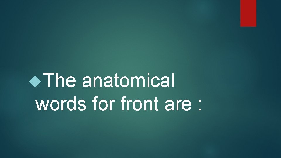  The anatomical words for front are : 