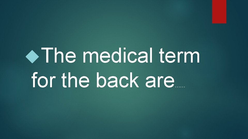  The medical term for the back are …… 