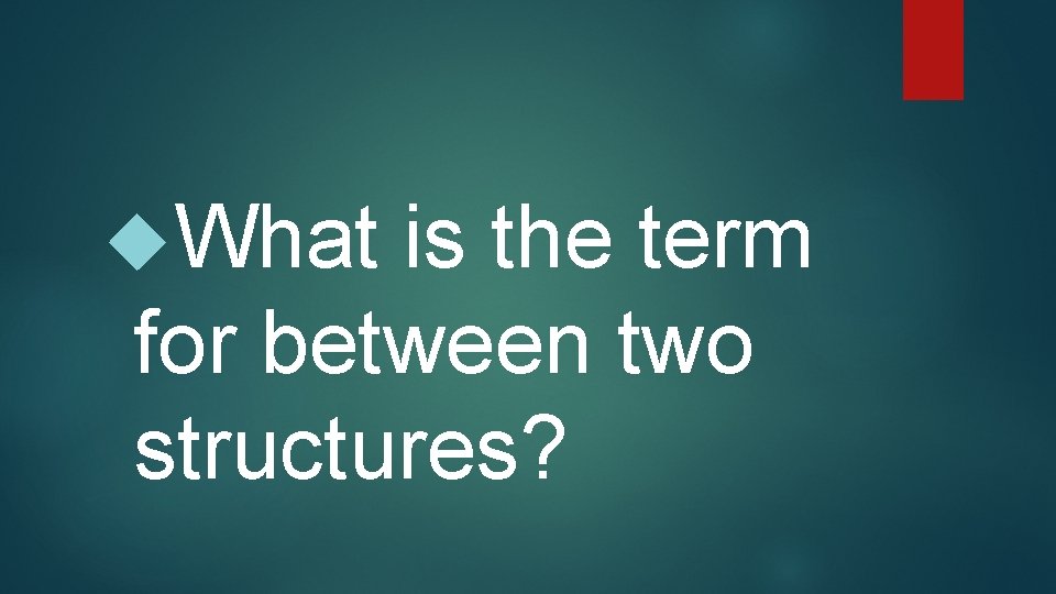  What is the term for between two structures? 