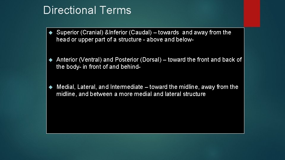 Directional Terms Superior (Cranial) &Inferior (Caudal) – towards and away from the head or