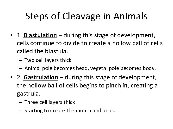 Steps of Cleavage in Animals • 1. Blastulation – during this stage of development,