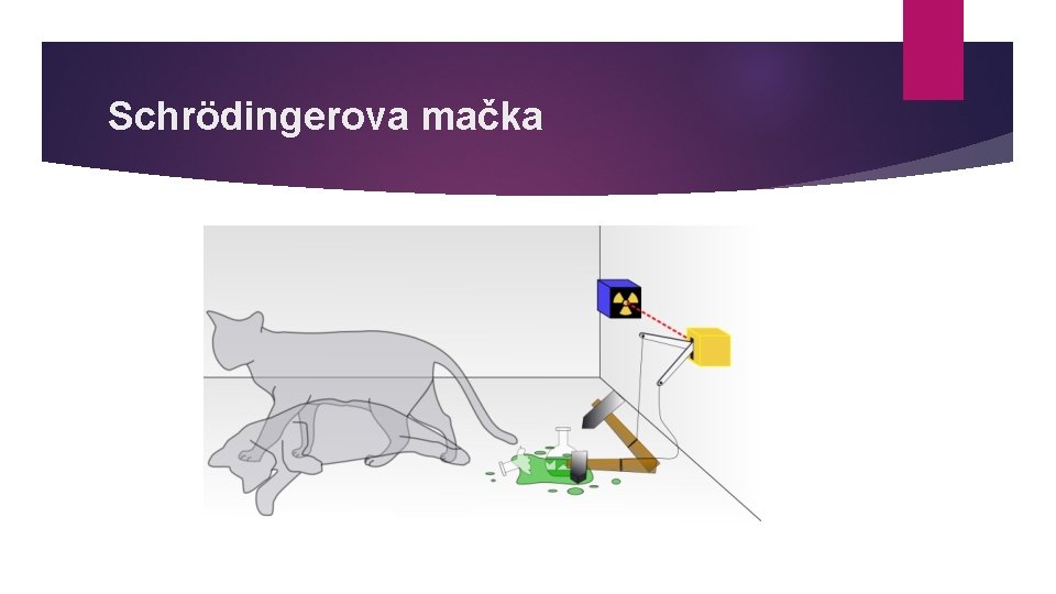 Schrödingerova mačka 