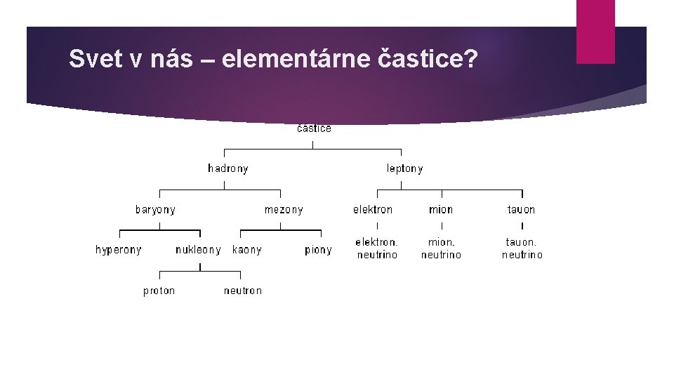 Svet v nás – elementárne častice? 