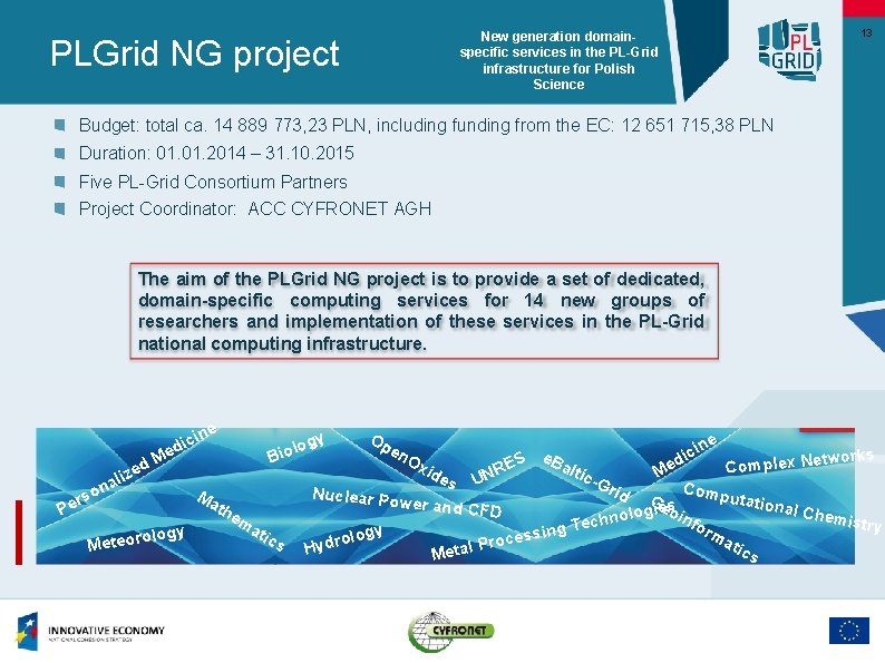 New generation domainspecific services in the PL-Grid infrastructure for Polish Science PLGrid NG project