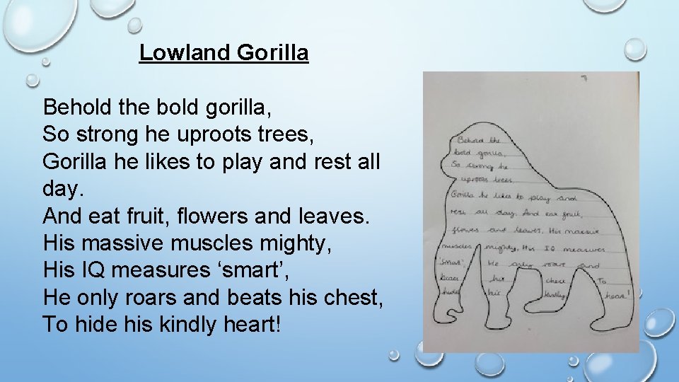 Lowland Gorilla Behold the bold gorilla, So strong he uproots trees, Gorilla he likes