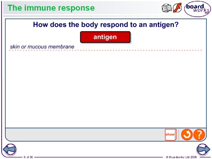 The immune response 8 of 38 © Boardworks Ltd 2008 