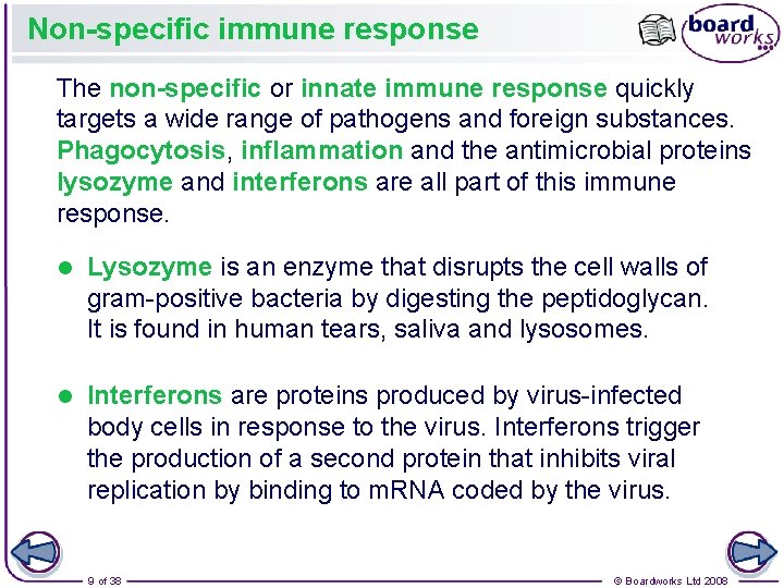 Non-specific immune response The non-specific or innate immune response quickly targets a wide range