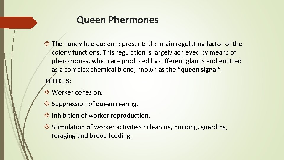 Queen Phermones The honey bee queen represents the main regulating factor of the colony