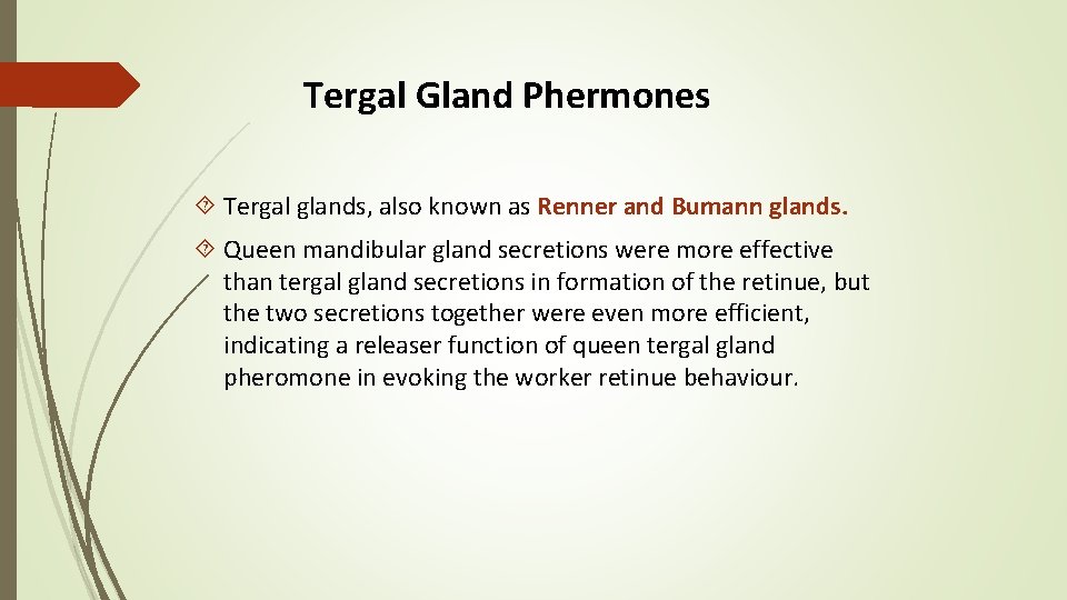 Tergal Gland Phermones Tergal glands, also known as Renner and Bumann glands. Queen mandibular